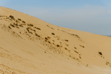 Similar image 21993259