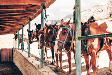 Similar image 21993262