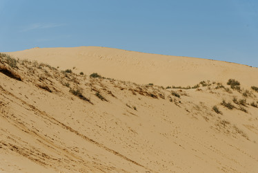 Similar image 21993263