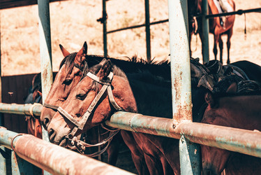 Similar image 21993265