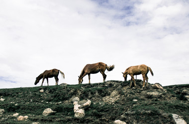 Similar image 21993269