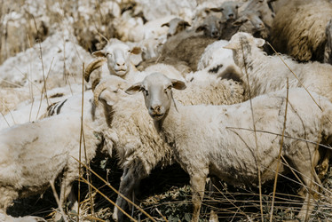 Similar image 21993585