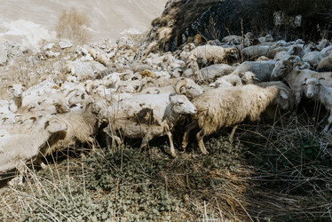 Similar image 21993587