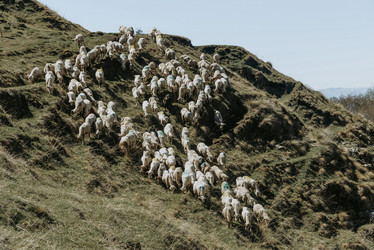 Similar image 21993589