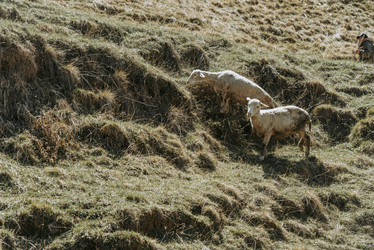 Similar image 21993593