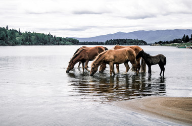 Similar image 21993597