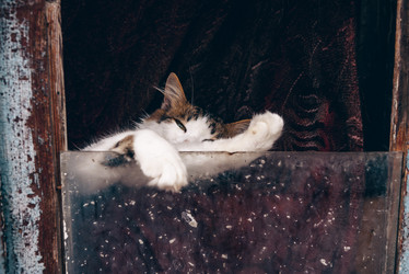 Similar image 21993599