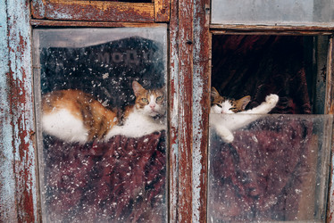 Similar image 21993601