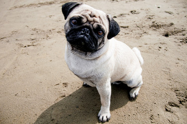 Similar image 21993603