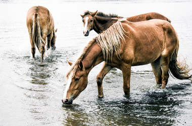 Similar image 21992947