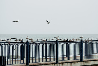 Similar image 21992950