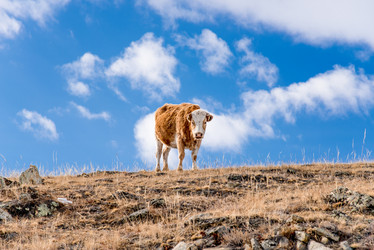 Similar image 21992952