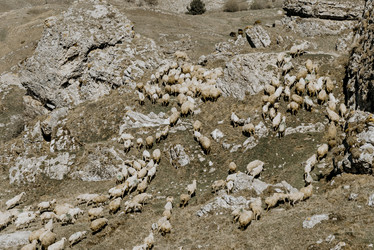 Similar image 21992954