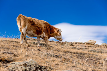 Similar image 21992955