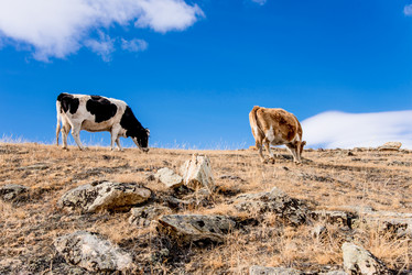 Similar image 21992958