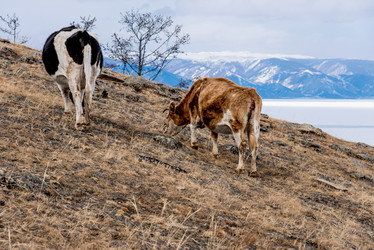 Similar image 21992960