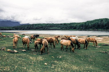 Similar image 21992962