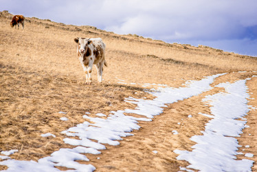 Similar image 21993273