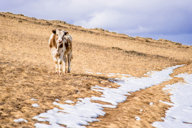 Similar image 21993276