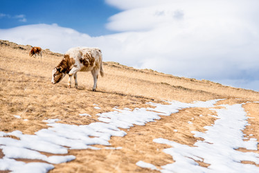 Similar image 21993278