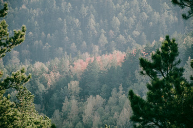 Similar image 21993282