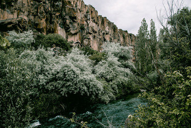 Similar image 21993286