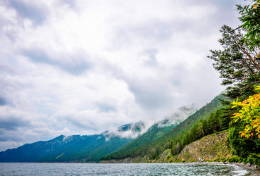 Similar image 21993289