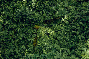 Similar image 21993290