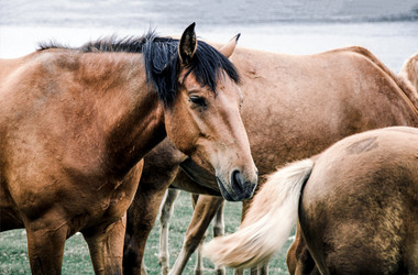 Similar image 21993292