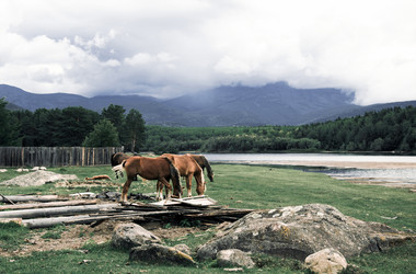 Similar image 21993296