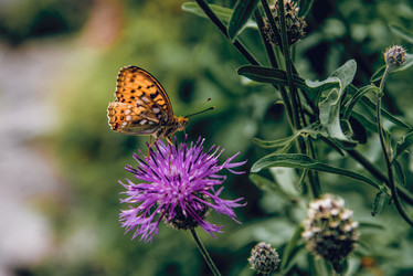 Similar image 21993297