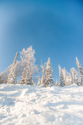 Similar image 21993300