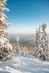 Similar image 21993302