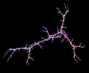 Similar image 22003537