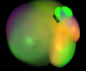 Similar image 22004095