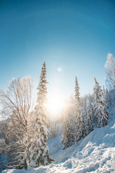 Similar image 21993326