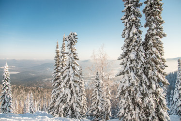 Similar image 21993328