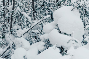 Similar image 21993330