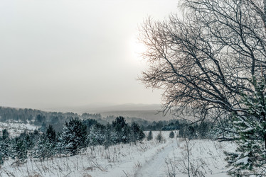 Similar image 21993332