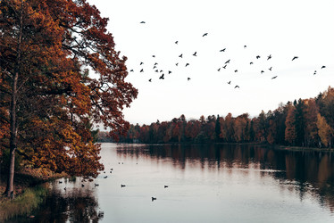 Similar image 21993334