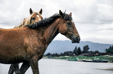 Similar image 21993335