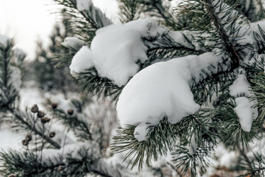 Similar image 21993337