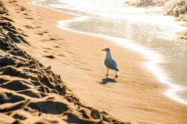 Similar image 21993338