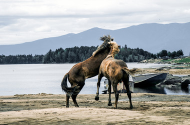 Similar image 21993339