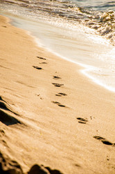 Similar image 21993342