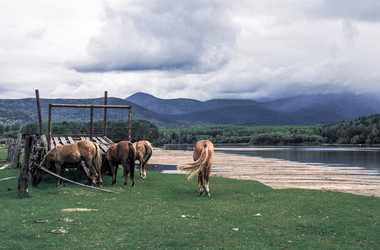 Similar image 21993343