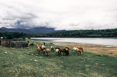 Similar image 21993346