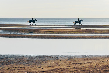 Similar image 21993347