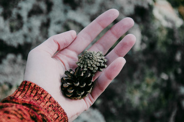 Similar image 21993349