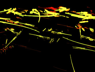 Similar image 22019763